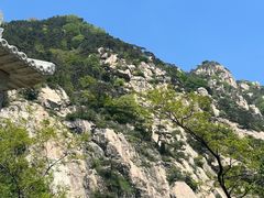 -泰山风景名胜区