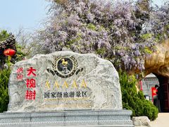 -大槐树寻根祭祖园