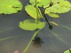 -云溪植物园
