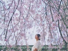 -西安青龙寺遗址景区