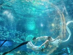 -海合安成都极地海洋公园