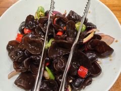 -蒙古大营(朝阳公园店)