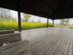 -黄龙溪欢乐田园