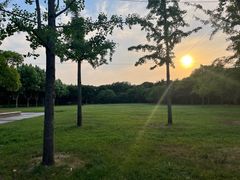 -东园小馆·早茶·淮扬小炒(宋夹城店)