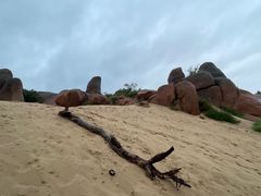 -玉龙沙湖景区