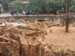 -昆明动物园