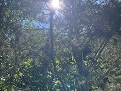 -秦岭终南山世界地质公园翠华山景区