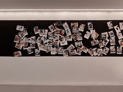 -comecome来吧宠物(奥克斯中心店)