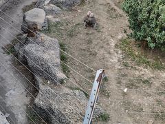 -南昌动物园