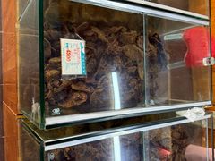 -青松牛肉干(大名路店)