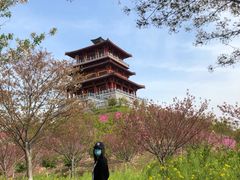 -古柏渡飞黄旅游区