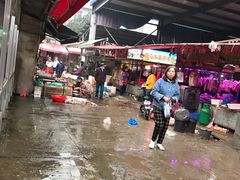 -树木岭集贸市场(劳动东路)