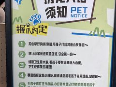 -绿壁虎攀岩基地(Tcar店)