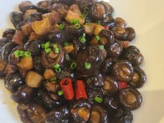 肉汁扣子菇-同庆楼(大钟寺店)