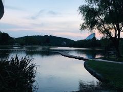 -上海佘山世茂艾美酒店