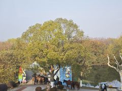 -太阳岛度假酒店