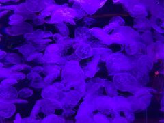 -多彩贵州城极地海洋世界