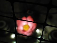 -E+有冰工厂·昆仑寒宫2(五角场店)