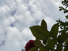 -国贸中心·国贸大厦三期