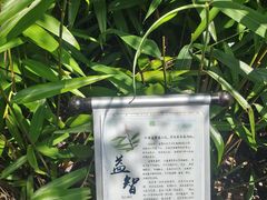 -世间香境·七溪地