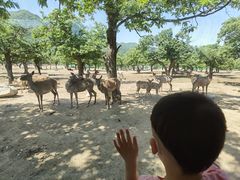 -西安秦岭野生动物园