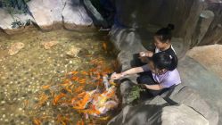 -宝燕乐园(闵行旗舰店)