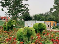 -光明小镇欢乐田园