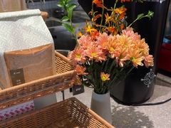 -gaga(深圳南山益田假日广场店)