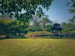 -中国科学院西双版纳热带植物园