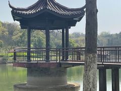 -宜兴龙背山森林公园