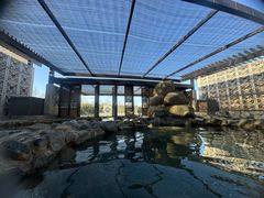 -春晖园度假酒店温泉