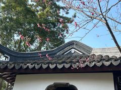 -秋霞圃