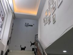-创凡宠物医院·骨专科  猫科中心(西乡分院)
