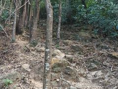 -梧桐山风景名胜区