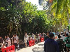 -海南分界洲岛旅游区