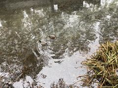 -颐和园