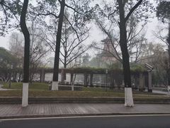 -成都市活水公园