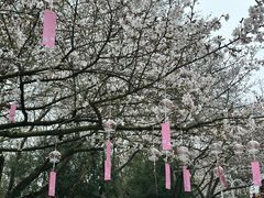 -杭州少年儿童公园