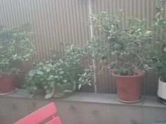 -食为先庐畔渔歌(合作化路店)
