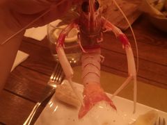 -斯普汇生蚝牛排馆(中骏世界城店)