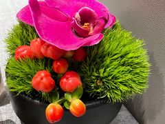 -柿合缘新京菜(静安嘉里中心店)