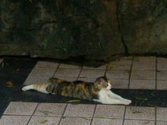 -晓港公园