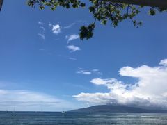-阿甘虾餐厅(Maui)