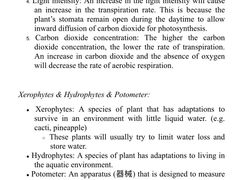 -JT PREP国际学科课程·IB·AP·Alevel(陆家嘴校区)