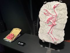 -现代汽车文化中心 Hyundai Motorstudio Beijing
