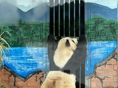 -苏州太湖国家湿地公园