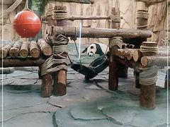 -泉州海丝野生动物世界