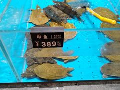 -艳阳天·非遗楚菜(武汉客厅店)