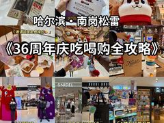 -松雷商业(南岗店)