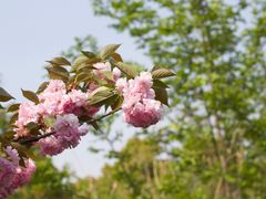 -羊山湖公园